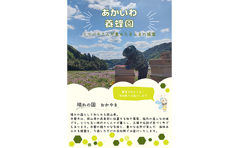 縺ッ縺。縺ソ縺、 闢ョ闖ッ陷り惧 1蛟300g 2蛟句・繧 繝上メ繝溘ヤ 陷り惧 繧後s縺 螟ゥ辟カ 髱槫刈辭ア 蟯。螻ア 襍、逎仙ク