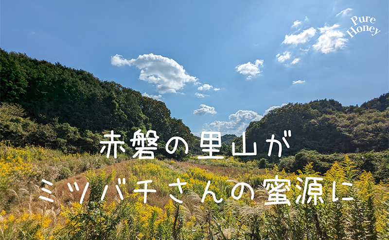 はちみつ 蓮華蜂蜜 百花蜂蜜 300g 各1個 合計2個入り ハチミツ 蜂蜜 れんげ 百花蜜 天然 非加熱 岡山 赤磐市