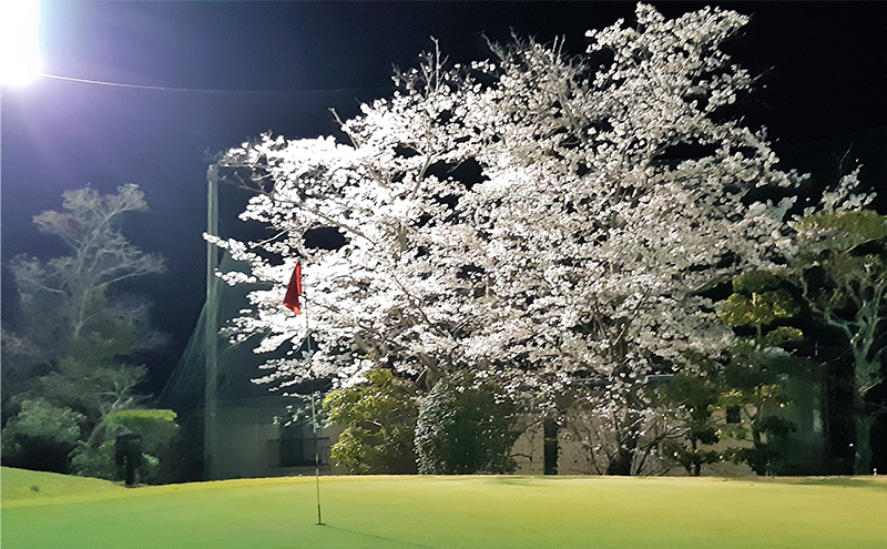 ゴルフ ショートホール 18H ペア ご利用券 × 焼肉レストラン大苑 焼肉定食 2名様 お食事券 赤磐市 コラボ 企画 みのるゴルフセンター山陽 大苑 岡山県