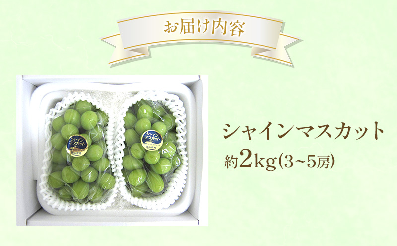 ã¶ã©ã 2026幎 å
è¡åä» ã·ã£ã€ã³ãã¹ã«ãã çŽ2kg (3ïœ5æ¿) ãã«ãŒã æç© 岡山 èµ€ç£åž