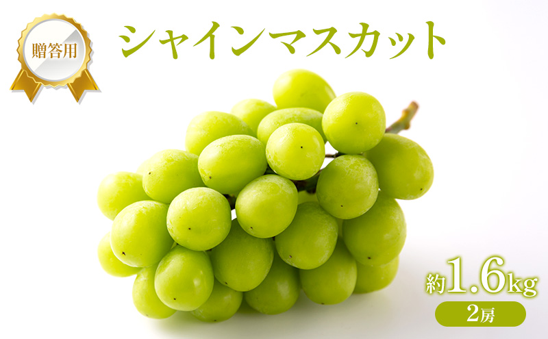 ぶどう 2026年 先行受付 贈答用 シャインマスカット 約1.6kg (2房) フルーツ 果物 岡山 赤磐市