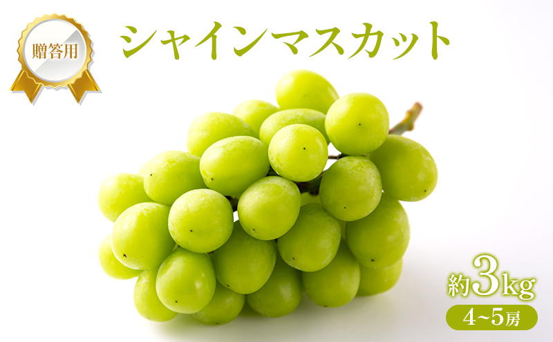 ぶどう 2026年 先行受付 贈答用 シャインマスカット 約3kg (4～5房) フルーツ 果物 岡山 赤磐市