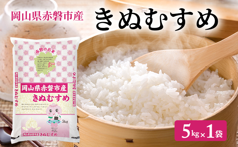 米 2025年産 きぬむすめ 5kg 1袋 岡山県赤磐市産 精米 白米 こめ お米 特Aランク