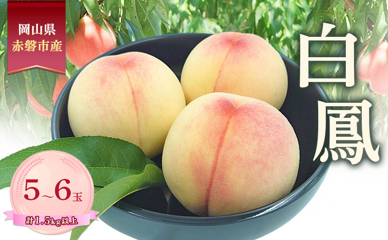 桃 2026年 数量限定 白鳳 糖度12度以上 5-6玉 計1.5kg以上 岡山県 赤磐市産