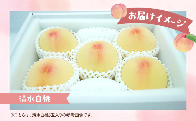 桃 2026年 数量限定 清水白桃 糖度12度以上 3玉 計1.0kg以上 岡山県 赤磐市産