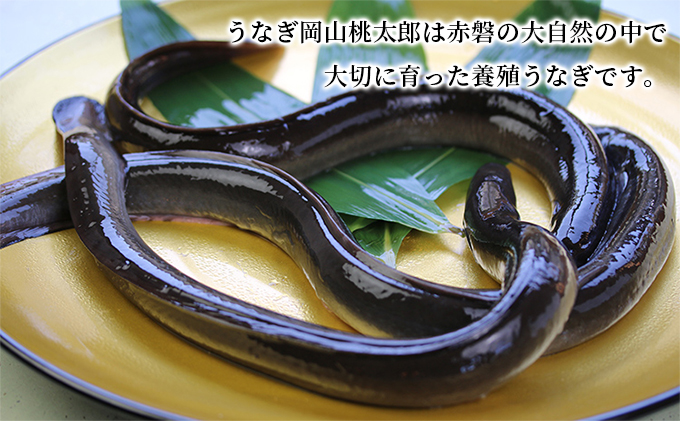 味心逆瀬川 うなぎ 料理 お食事券 (5,000円分) 日本料理 チケット 観光 お出かけ 旅行 和食 ご飯屋さん ブランドうなぎ うなぎ岡山桃太郎 日本うなぎ