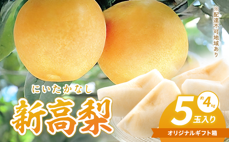 梨 2025年 新高梨（にいたかなし）オリジナルギフト箱 5玉入り（約4kg）赤磐市赤坂産 なし フルーツ 果物