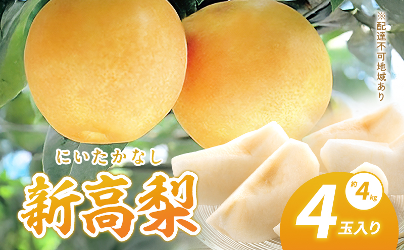梨 2025年 新高梨（にいたかなし）4玉入り(約4kg）赤磐市赤坂産 なし フルーツ 果物