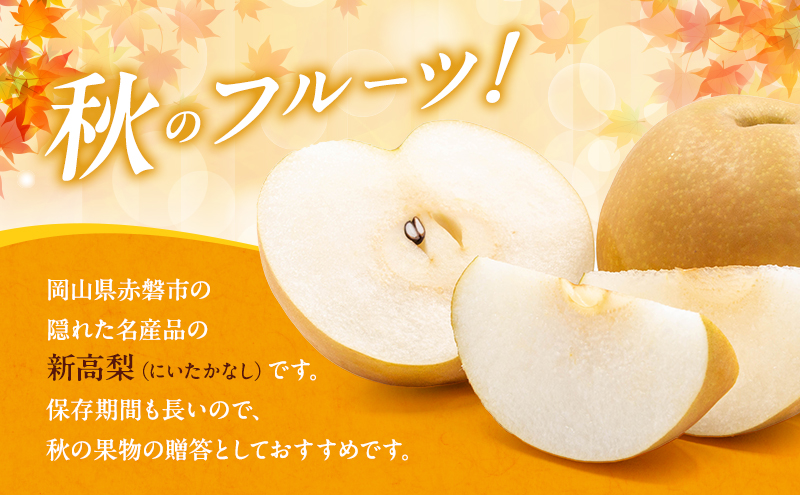 梨 2025年 新高梨（にいたかなし）オリジナルギフト箱 5玉入り（約4kg）赤磐市赤坂産 なし フルーツ 果物 