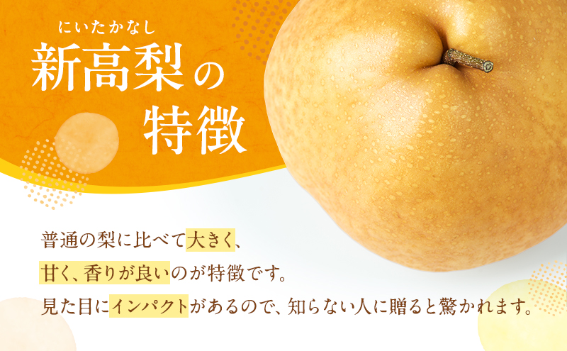 梨 2025年 新高梨（にいたかなし）オリジナルギフト箱 5玉入り（約4kg）赤磐市赤坂産 なし フルーツ 果物 