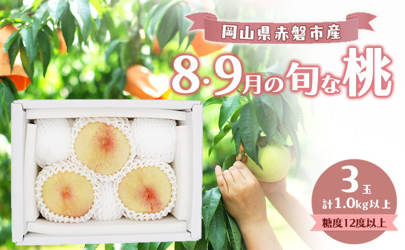 桃 2026年 数量限定 岡山の白桃 『8・9月の旬な桃』 3玉 計1.0kg以上 糖度12度以上
