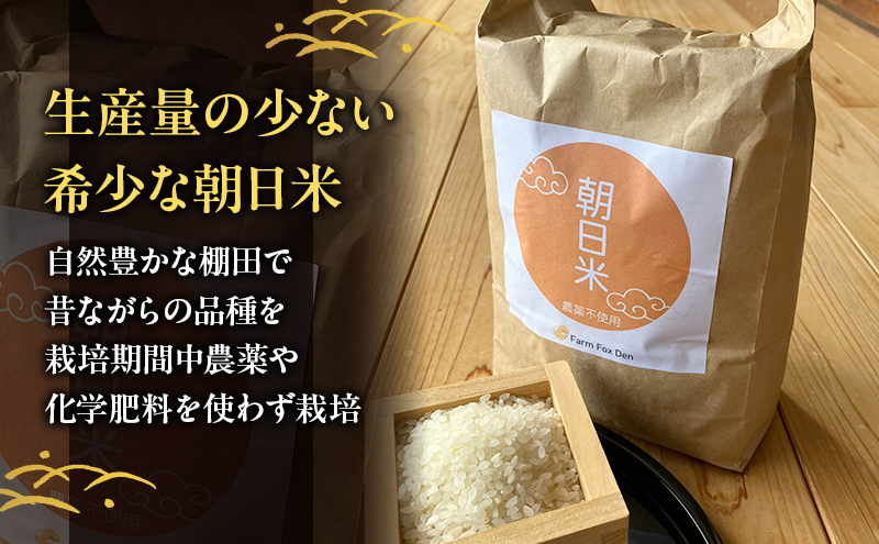 先行受付 農薬不使用 無洗米 ホタル舞う里山の棚田米 精米10kg 令和8年産 朝日2kg×5袋