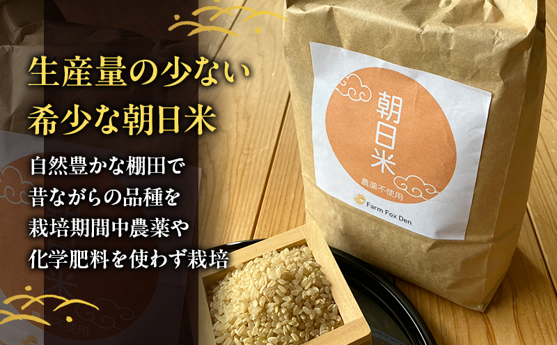 先行受付 農薬不使用 ホタル舞う里山の棚田米 玄米10kg 令和8年産 朝日2kg×5袋