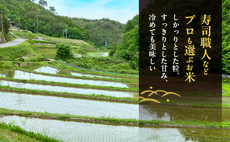 先行受付 自然栽培 農薬不使用 肥料不使用 ホタル舞う里山の棚田米 玄米10kg 令和8年産 朝日2kg×5袋