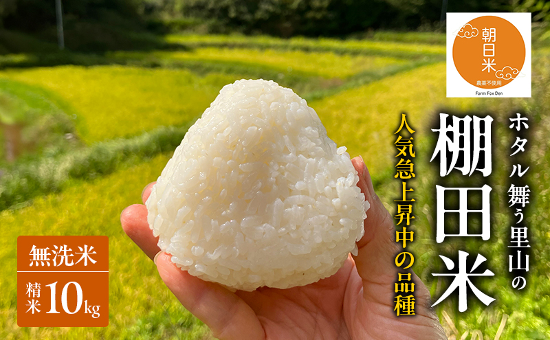 先行受付 ホタル舞う里山の棚田米 無洗米 精米10kg 令和8年産 にじのきらめき2kg×5袋