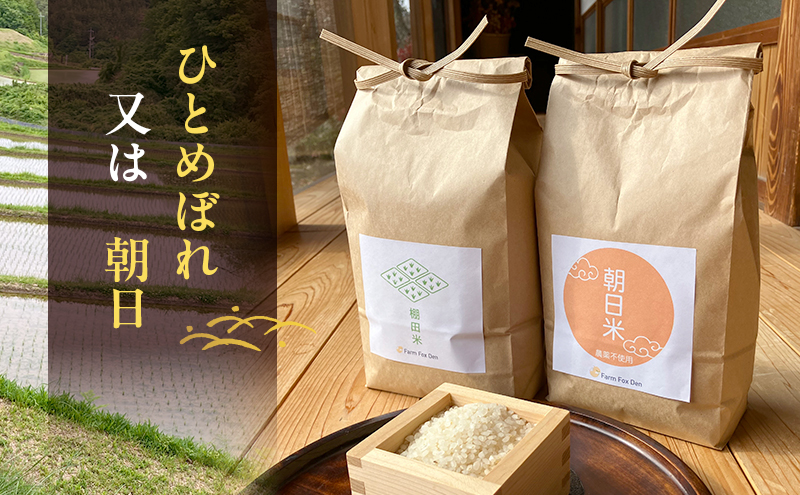 åçš®ãä»»ã 什å7å¹Žç£ ãã¿ã«èãéå±±ã®æ£ç°ç±³ ç¡æŽç±³ 粟米4kg ã²ãšããŒã2kgåã¯ææ¥2kgãèš2è¢