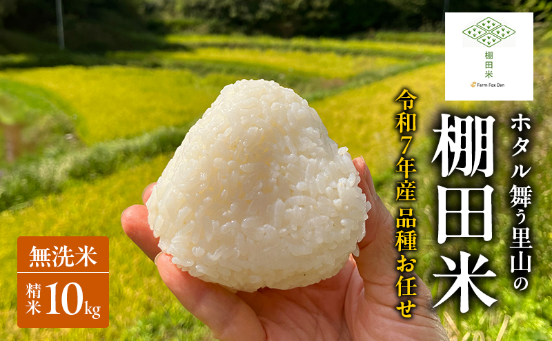 品種お任せ 令和7年産 ホタル舞う里山の棚田米 無洗米 精米10kg ひとめぼれ2kg又は朝日2kgを計5袋