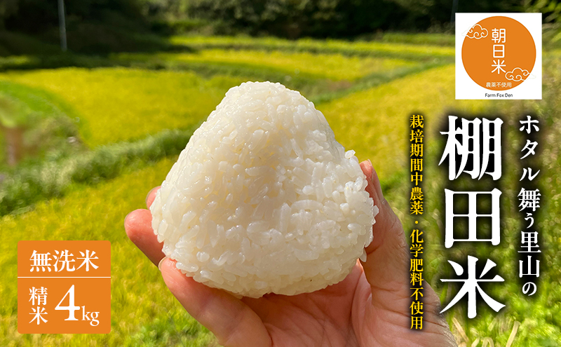 先行受付 農薬不使用 無洗米 ホタル舞う里山の棚田米 精米4kg 令和8年産 朝日2kg×2袋