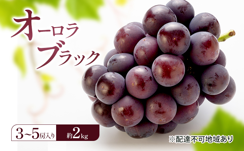 ぶどう 2026年 先行予約 オーロラブラック (3～5房) 約2kg 岡山県 赤磐市 ブドウ 葡萄 果物 フルーツ