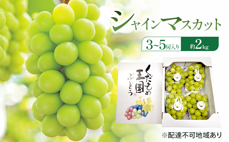 ぶどう 2026年 先行予約 シャインマスカット (3～5房) 約2kg 岡山県 赤磐市 ブドウ 葡萄 果物 フルーツ