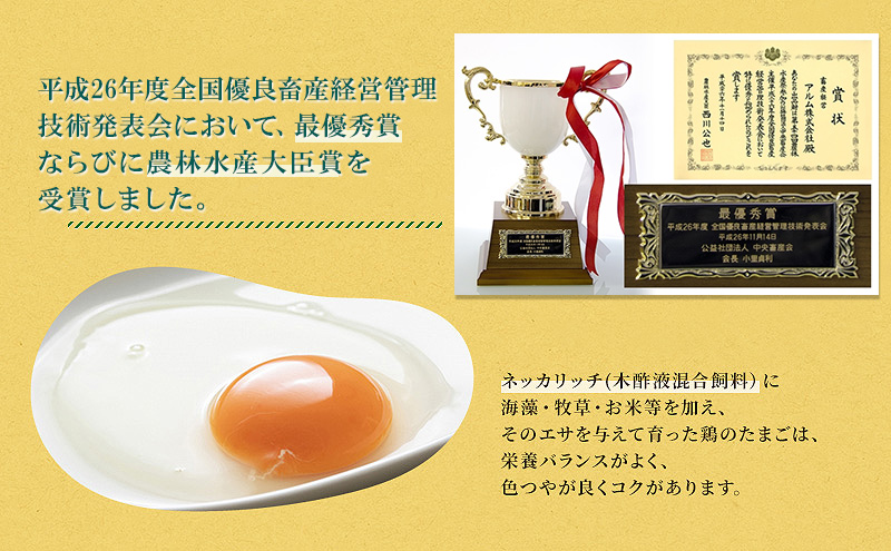 卵【2回 定期便】 赤玉 ネッカリッチ卵 50個入り 鶏卵 たまご
