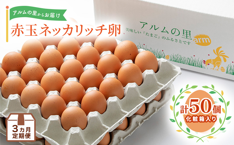 卵【3回 定期便】 赤玉 ネッカリッチ卵 50個入り 鶏卵 たまご