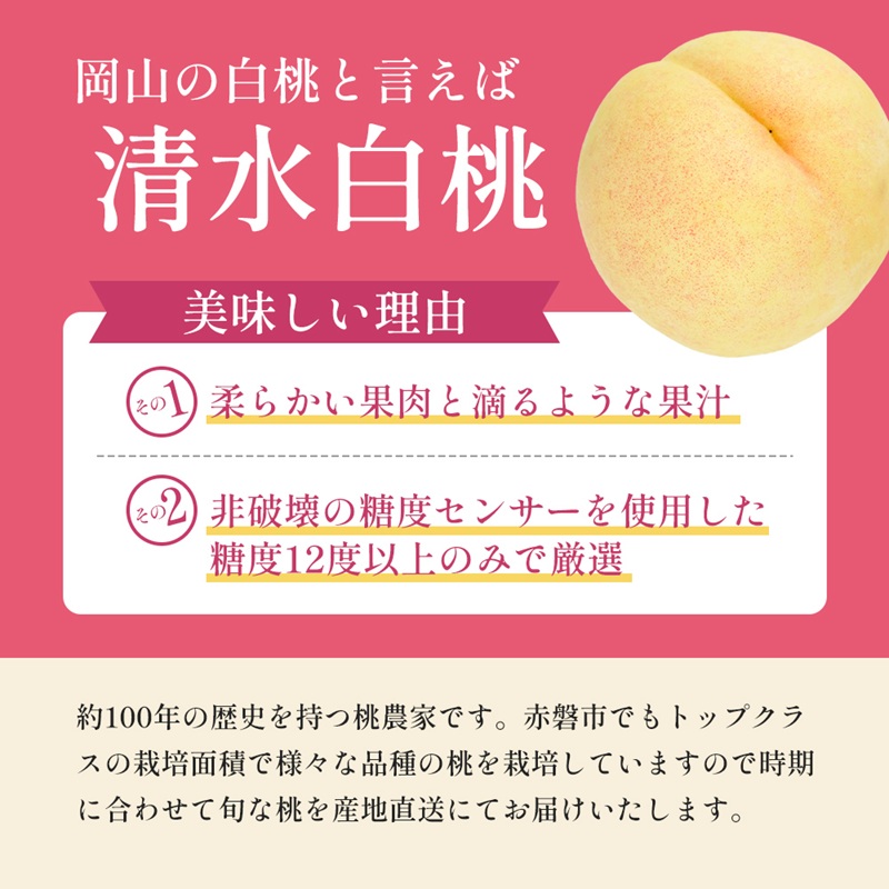 桃 2026年 先行予約 清水 白桃 をお届け！3玉 約900g 糖度センサー選果 糖度12度以上 もも モモ 岡山県 赤磐市産 国産 フルーツ 果物 ギフト あみかフルーツ 果汁 産地直送