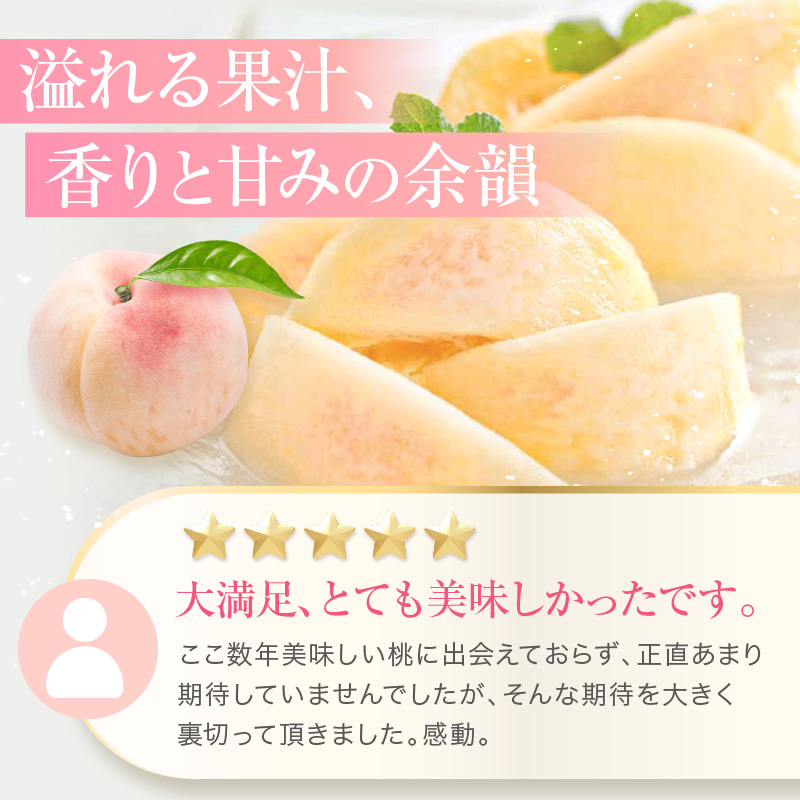 桃 2026年 先行予約 赤磐の 白桃 約2.0kg 6～8玉 JA晴れの国 糖度センサー選果 もも モモ 岡山県 赤磐市産 国産 フルーツ 果物 ギフト デザート 果肉 