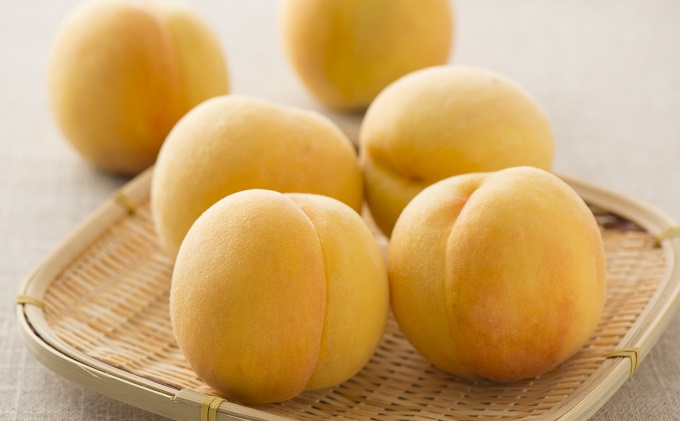 桃 2026年 先行予約 黄金桃 2kg 6～8玉 もも モモ 岡山 国産 フルーツ 果物 ギフト 桃茂実苑 果肉 