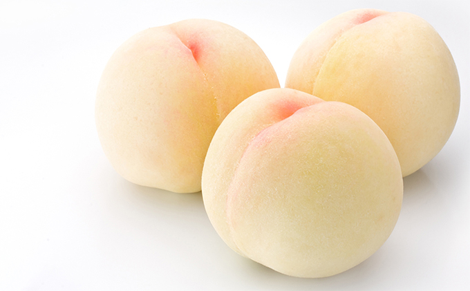 桃 2026年 先行予約 白桃 1.5kg 5～6玉 もも モモ 岡山 国産 フルーツ 果物 ギフト 桃茂実苑 果肉 