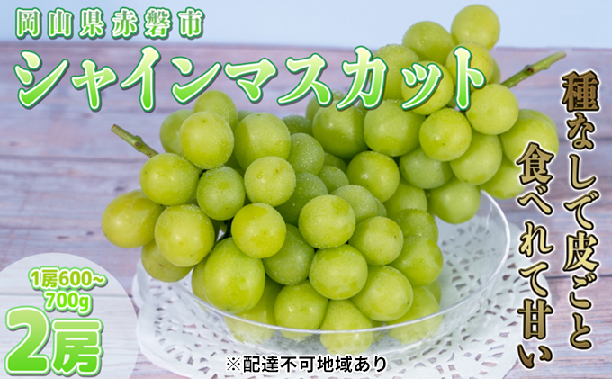 ぶどう 2025年 先行予約 ご家庭用 シャイン マスカット 2房 1房600g～700g 10月発送分 ブドウ 葡萄 フルーツ 果物 岡山 赤磐市産 農マル園芸 あかいわ農園