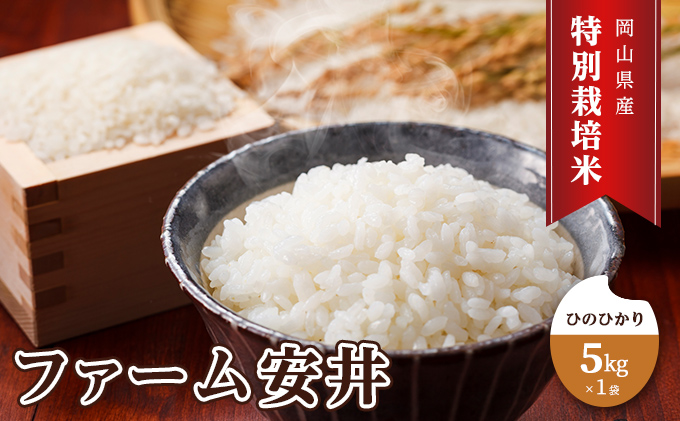 特別栽培米 ひのひかり 5kg×1袋 米 白米 岡山県産 ファーム安井