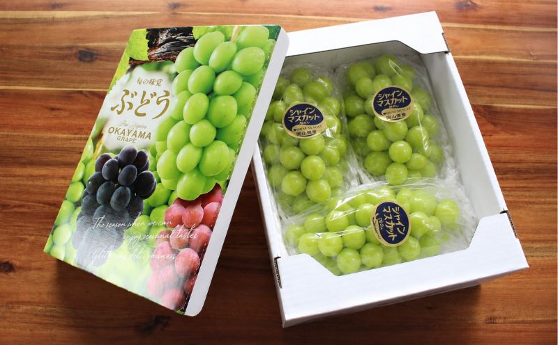 〈パック詰め〉岡山の自然がはぐくむピオーネ  2.4kg 【beac010-01】