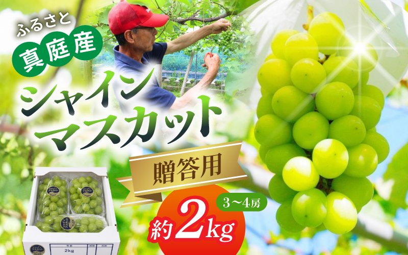 〈贈答用〉岡山の自然がはぐくむシャインマスカット 約2kg 【beac001-01】