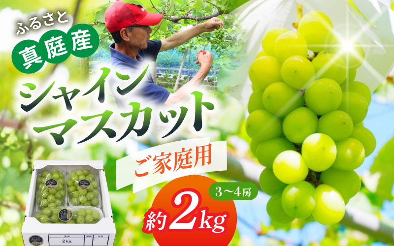 ããå®¶åºçšãéæ°Žéã®å°ãªã岡山ã®èªç¶ãã¯ãããã·ã£ã€ã³ãã¹ã«ãããæŽå€©ã¶ã©ãã çŽ2kg ïŒ3ïœ4æ¿ïŒãbeac005-01ã