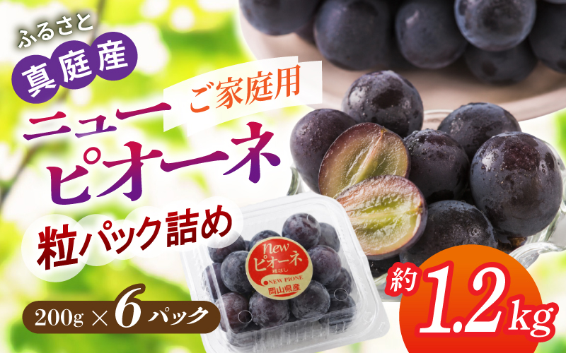 〈パック詰め〉岡山の自然がはぐくむピオーネ 約1.2kg 【beac008-01】
