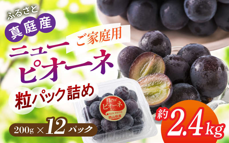 〈パック詰め〉岡山の自然がはぐくむピオーネ  2.4kg 【beac010-01】