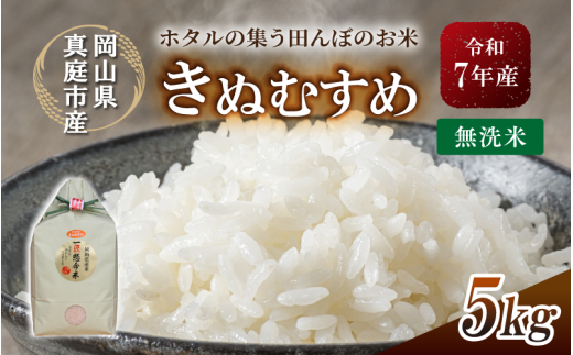 令和7年産 真庭市産きぬむすめ 無洗米 5kg / お米 国産 岡山県 米 人気 ブランド 2025年産 【tkns007-01-cho】