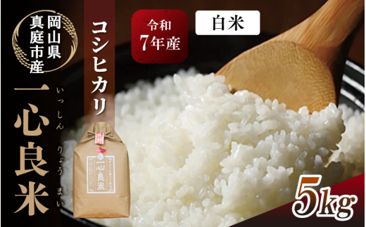 真庭市産コシヒカリ 米ぬか 牡蠣栽培米 『 一心良米 』 白米 5kg / お米 いっしんりょうまい 岡山県 こしひかり 人気 ブランド 令和7年産 2025年産 【tkns009-01-cho】