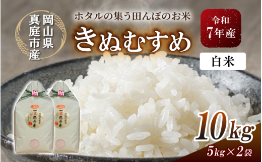 令和7年産 真庭市産 きぬむすめ 白米 10kg / お米 国産 岡山県 米 人気 ブランド 2025年産 【tkns006-01-cho】