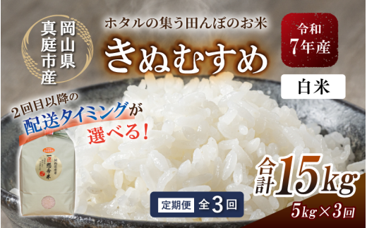 ＜定期便全3回＞令和7年産 真庭市産きぬむすめ 白米 5kg×3回 / お米 国産 岡山県 米 きぬむすめ 人気 ブランド 2025年産 【tkns-tkb013-cho】