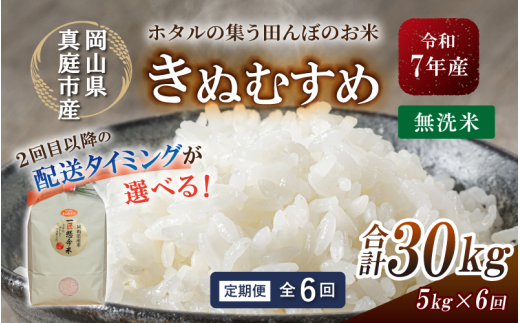 ＜定期便 全6回＞令和7年産 真庭市産きぬむすめ 無洗米 5kg×6回 / お米 国産 岡山県 米 人気 ブランド 2025年産 【tkns-tkb020-cho】