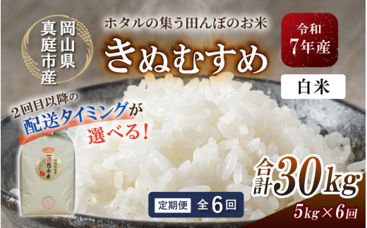 ＜定期便 全6回＞令和7年産 真庭市産きぬむすめ 白米 5kg×6回 / お米 国産 岡山県 米 人気 ブランド 2025年産 【tkns-tkb014-cho】