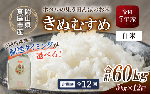 ＜定期便 全12回＞ 令和7年産 真庭市産きぬむすめ 白米5kg×12回 / お米 国産 岡山県 米 人気 ブランド 2025年産 【tkns-tkb015-cho】
