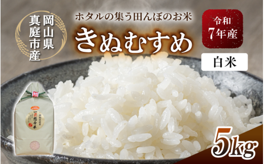 令和7年産 真庭市産 きぬむすめ 白米 5kg / お米 国産 岡山県 米 きぬむすめ 人気 ブランド 2025年産 【tkns005-01-cho】