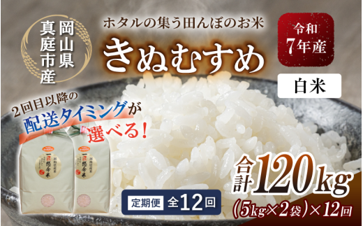 ＜定期便 全12回＞令和7年産 真庭市産きぬむすめ 白米10kg(5kg×2袋)×12回 / お米 国産 岡山県 米 人気 ブランド 2025年産 【tkns-tkb018-cho】