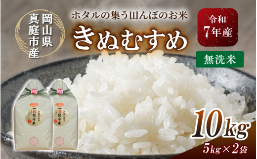 令和7年産 真庭市産きぬむすめ 無洗米 10kg / お米 国産 岡山県 米 人気 ブランド 2025年産 【tkns008-01-cho】