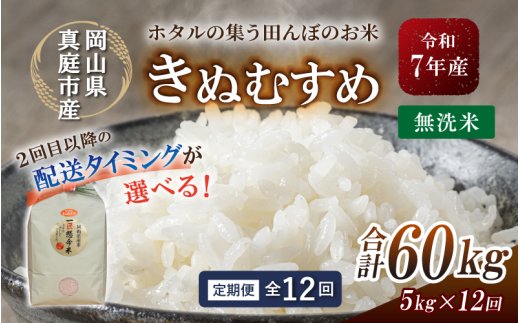 ＜定期便 全12回＞ 令和7年産 真庭市産きぬむすめ 無洗米5kg×12回 / お米 国産 岡山県 米 人気 ブランド 2025年産 【tkns-tkb021-cho】