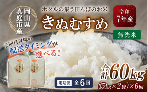 ＜定期便 全6回＞ 令和7年産 真庭市産きぬむすめ 無洗米10kg (5kg×2袋) ×6回 / お米 国産 岡山県 米 人気 ブランド 2025年産 【tkns-tkb023-cho】