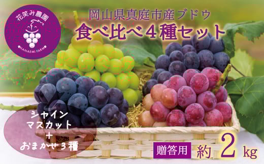 【2026年先行予約】岡山　花笑み農園のブドウ『食べ比べ４種セット』シャインマスカット入り　2kg（4房） 【hana019-02】